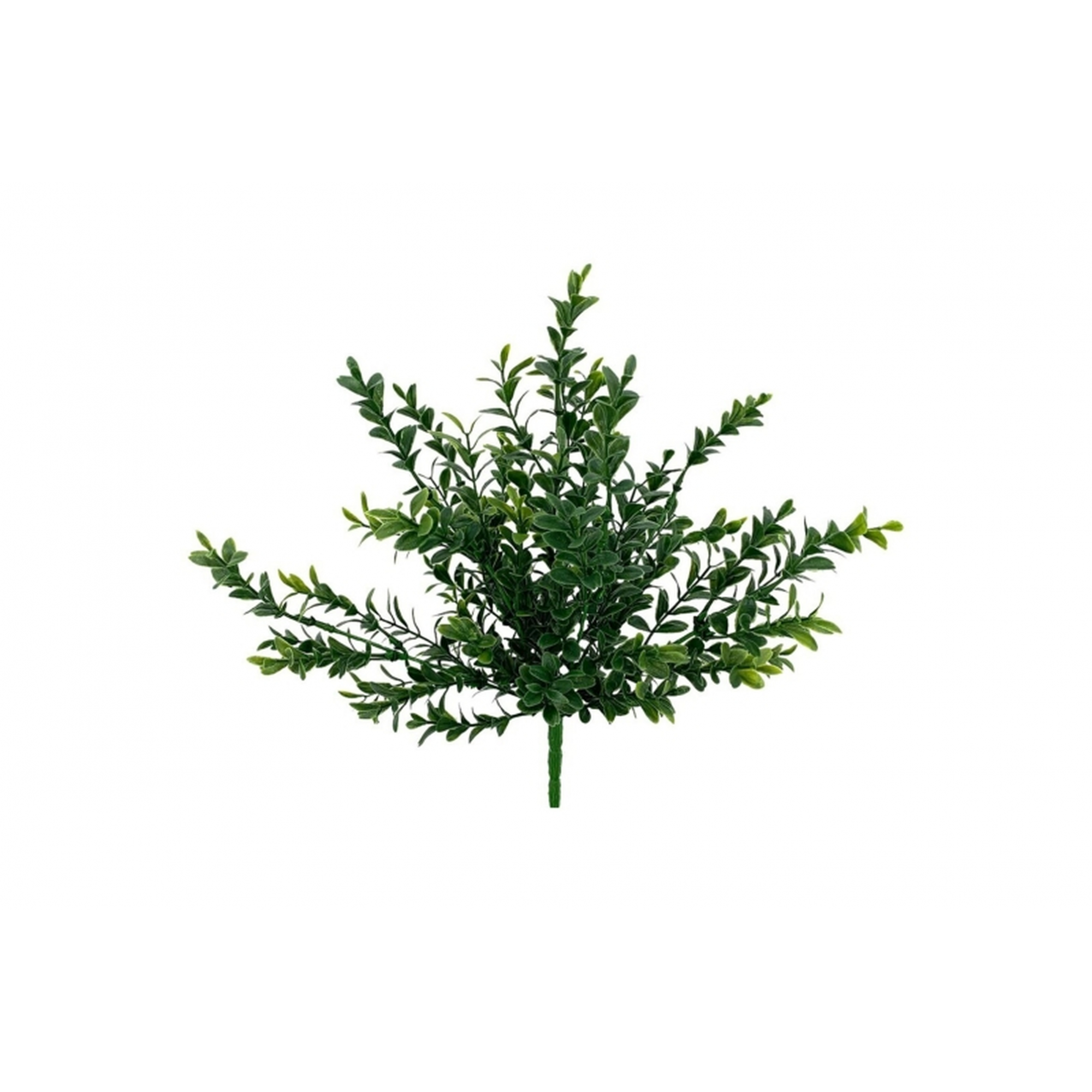 VERDE 7194 -30 cms. EUCALIPTO x7-