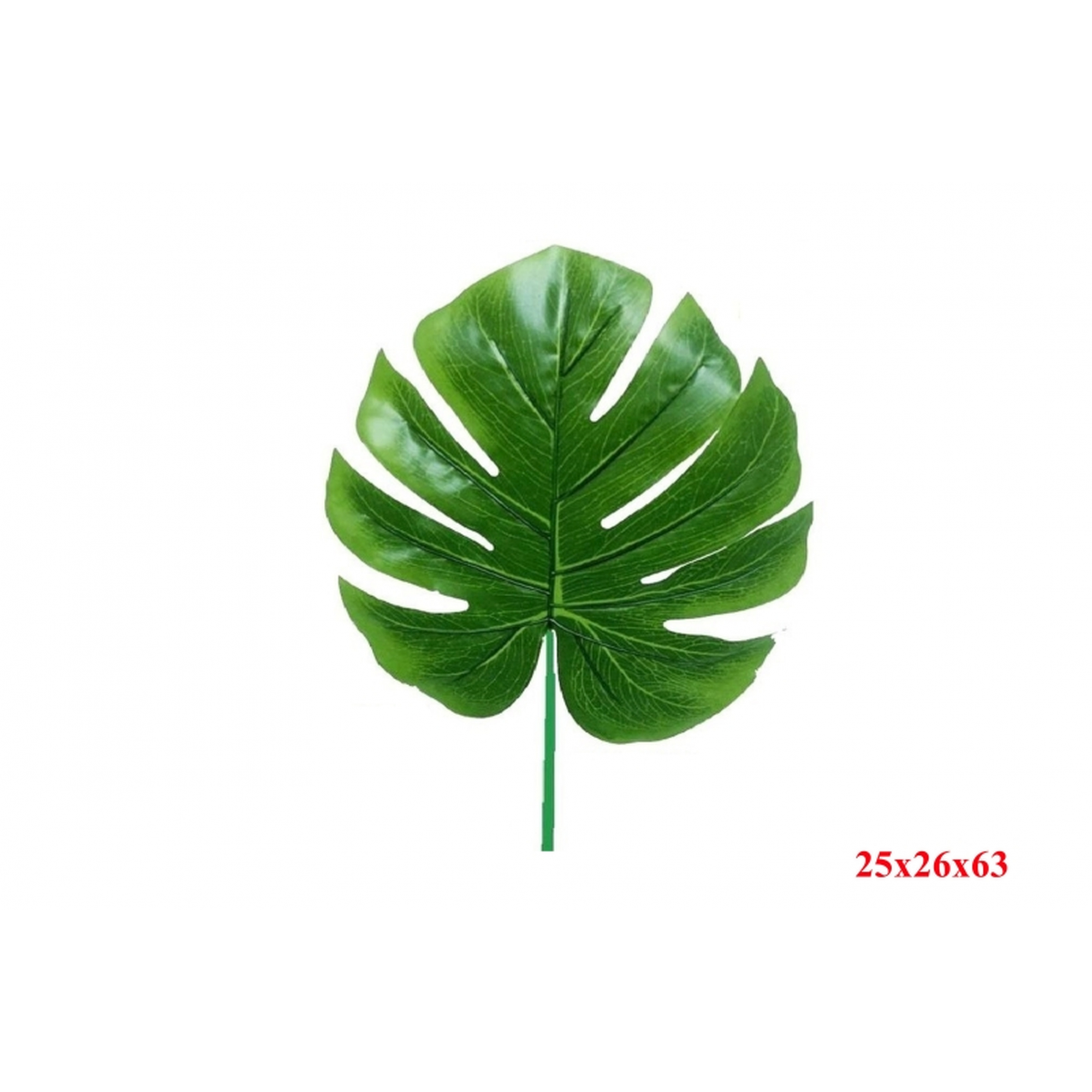 VERDE 742 -63 cms. (25x26) MONSTERA TACTO NATURAL-