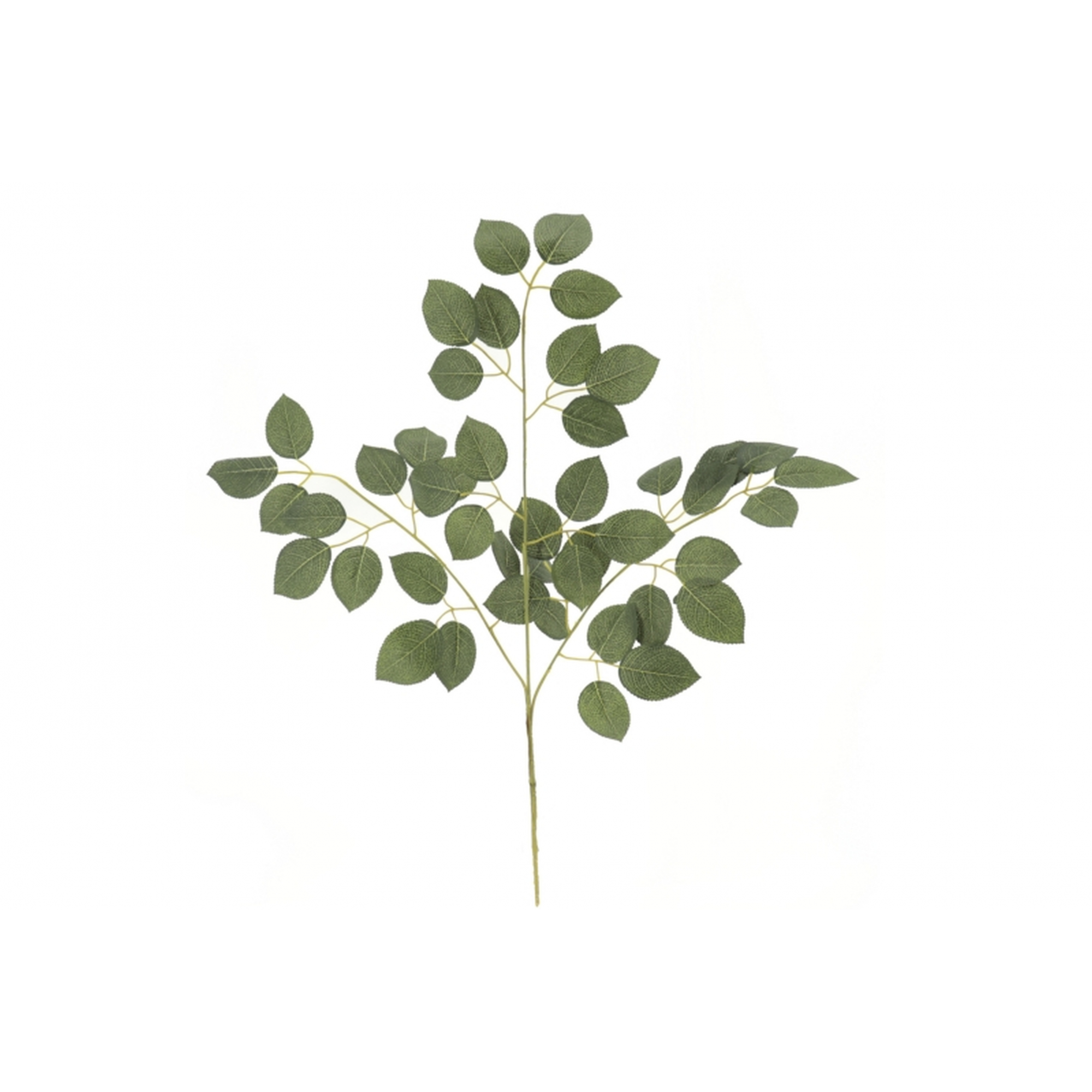 VERDE 2198 -72 cms. HOJA DE ROSA x45-