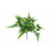 VERDE 3340 -50 cms. HELECHO x10-