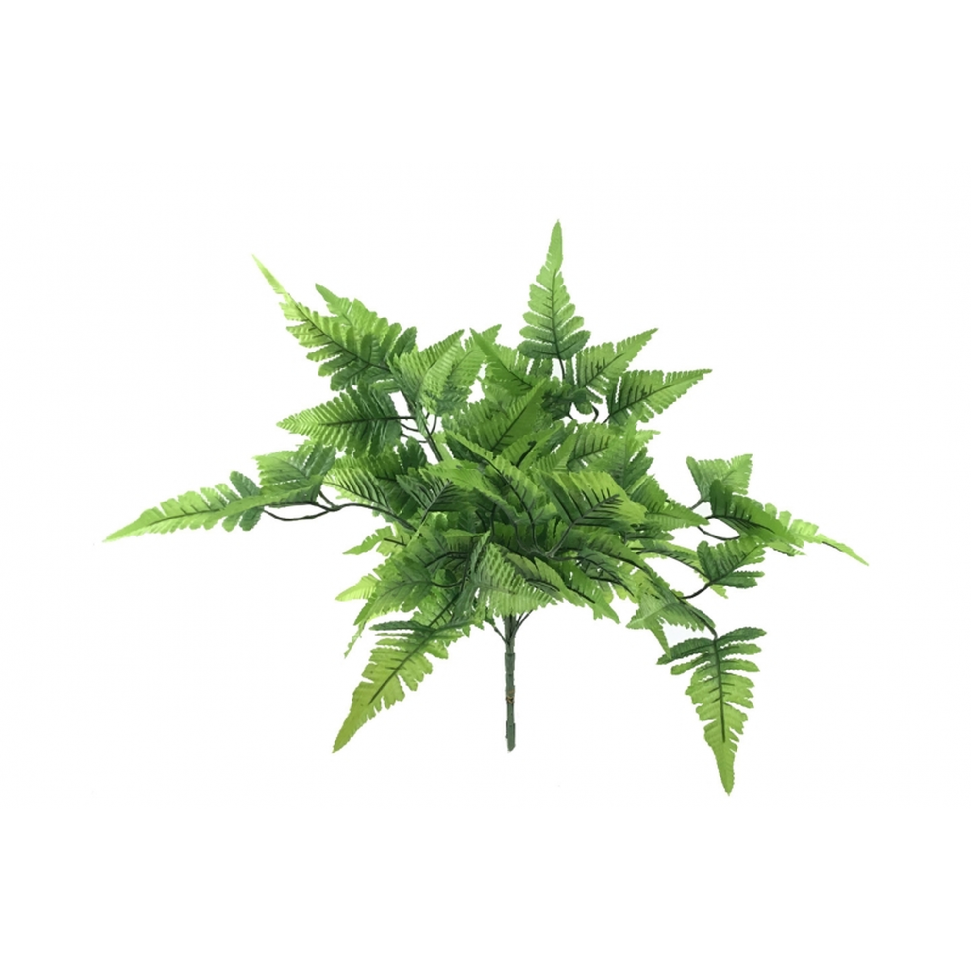 VERDE 3340 -50 cms. HELECHO x10-