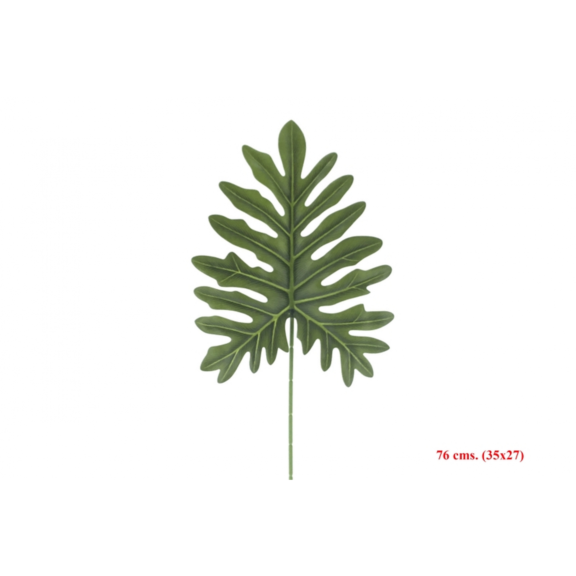 VERDE 4236 -76 cms. (35x27) PHILO SELLOUM-