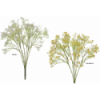 RAMO 8529 -44 cms. GUISOFILA x7-