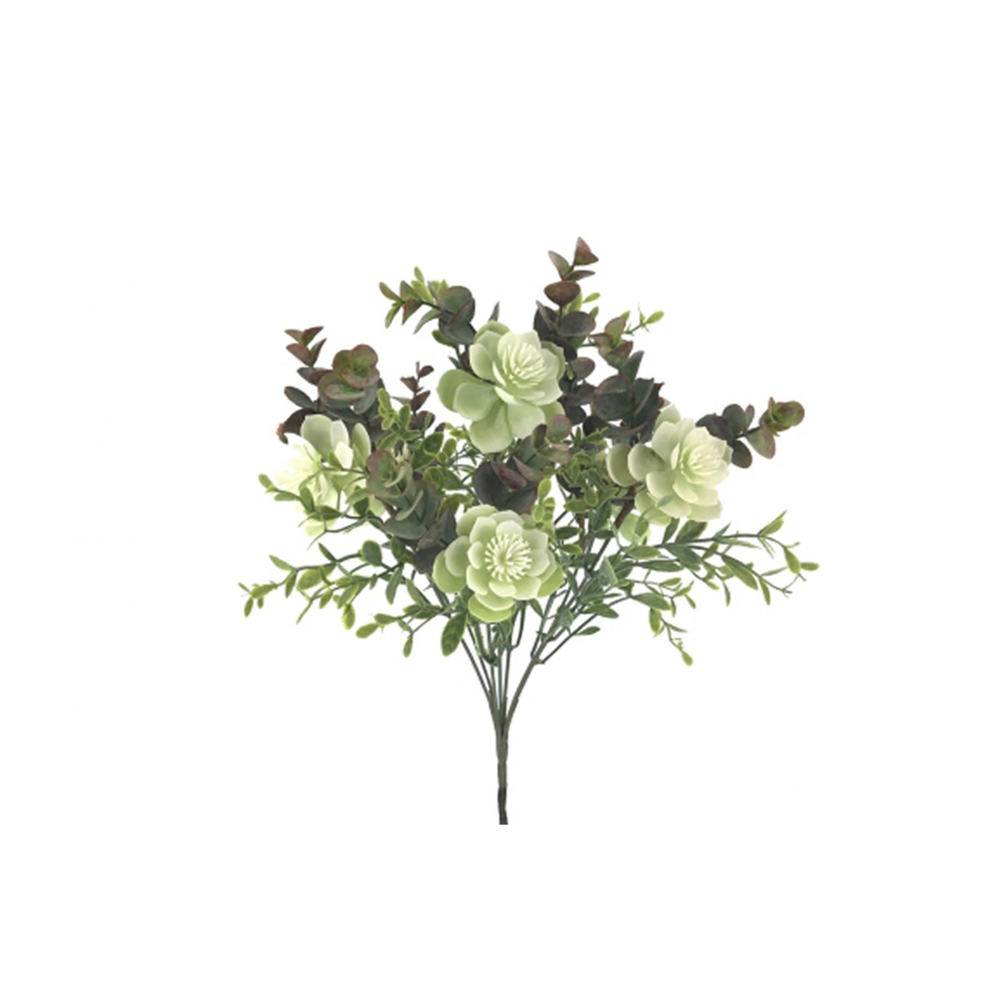 VERDE 9353 -40 cms. ALOE EUCALITO x7-