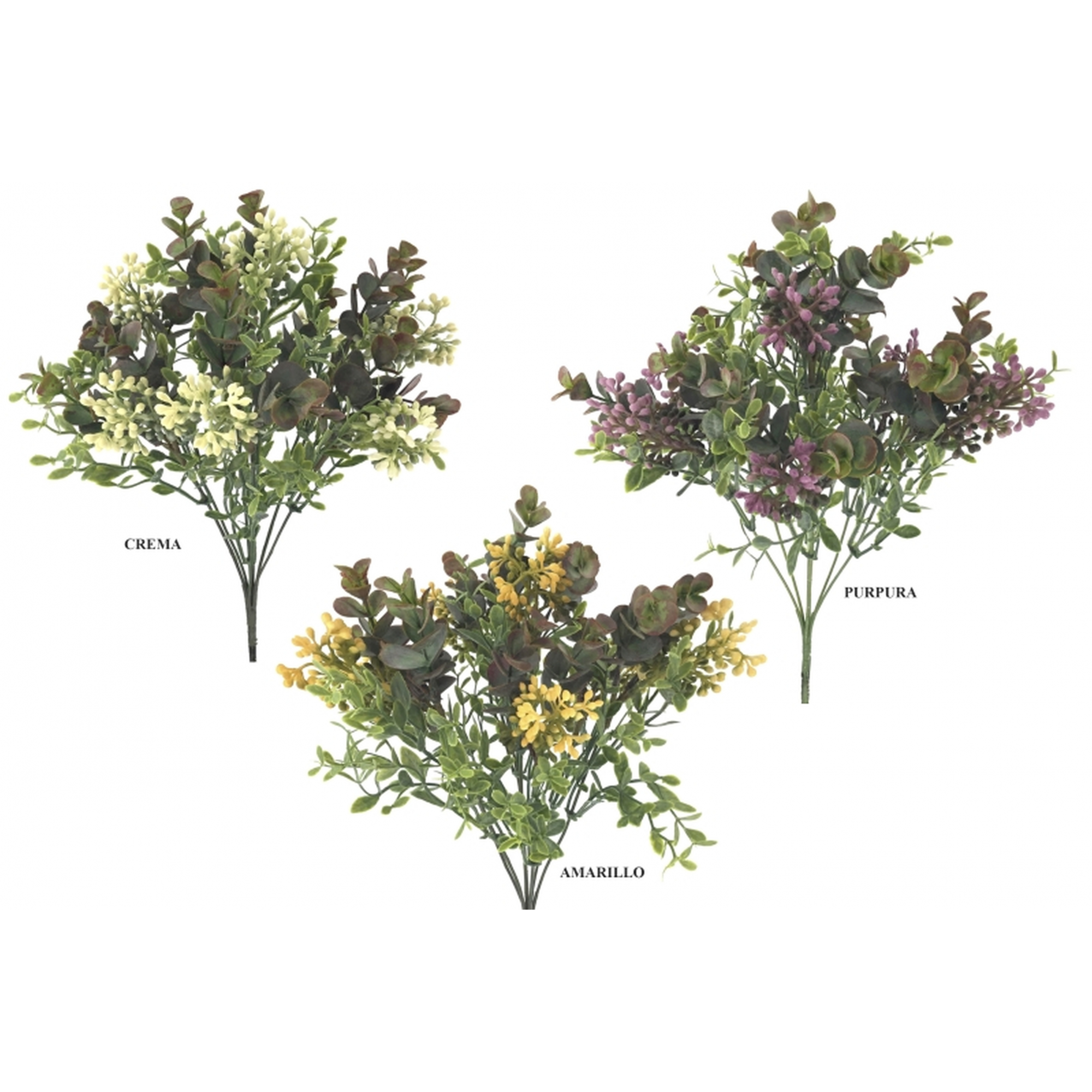VERDE 9354 -40 cms. CASIS EUCALITO x7-