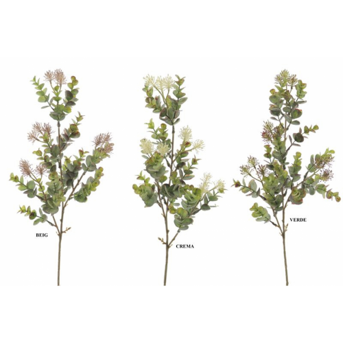 VERDE 9575 -62 cms. EUCALIPTO SILVESTRE-