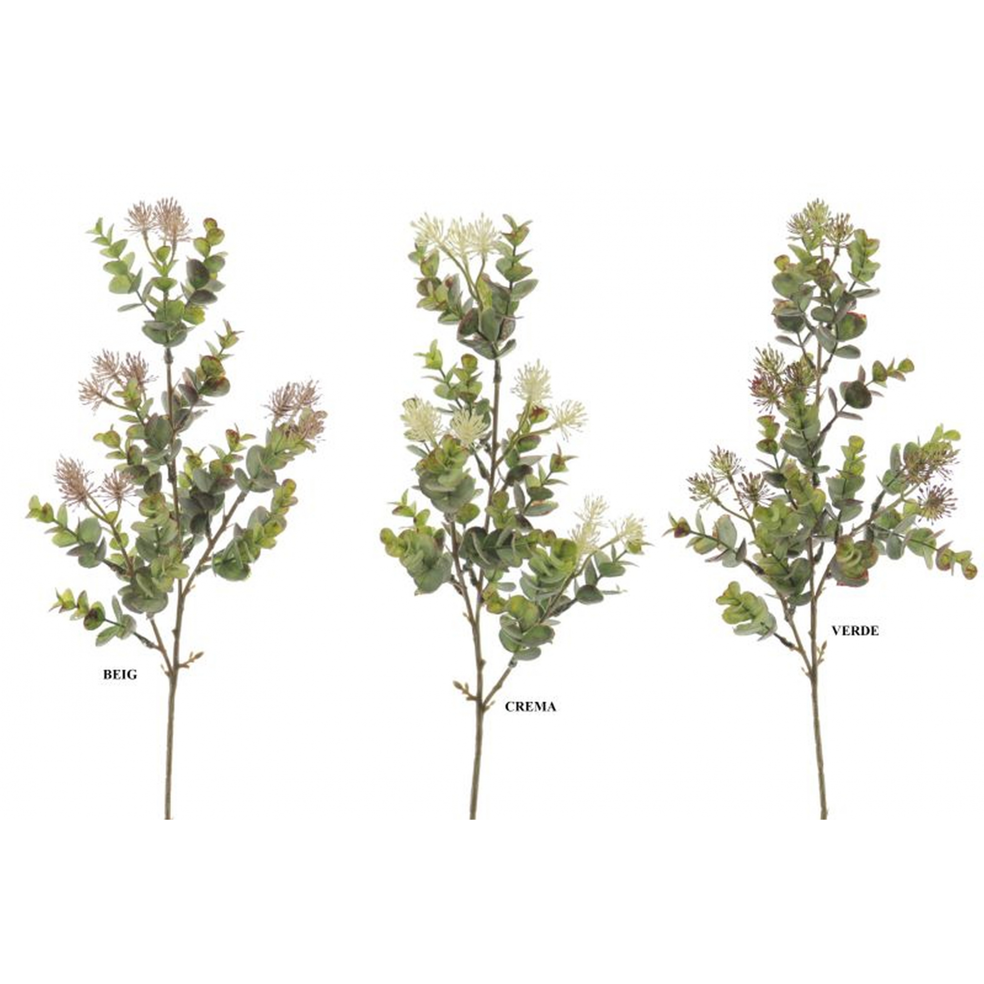 VERDE 9575 -62 cms. EUCALIPTO SILVESTRE-