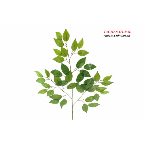 VERDE 667 -60 cms. FICUS x45 hojas (PROT. SOLAR)-