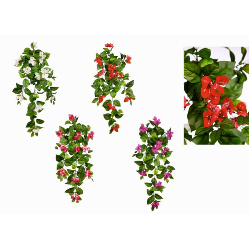PLANTA 464 -50 cms.BUGANVILLA-