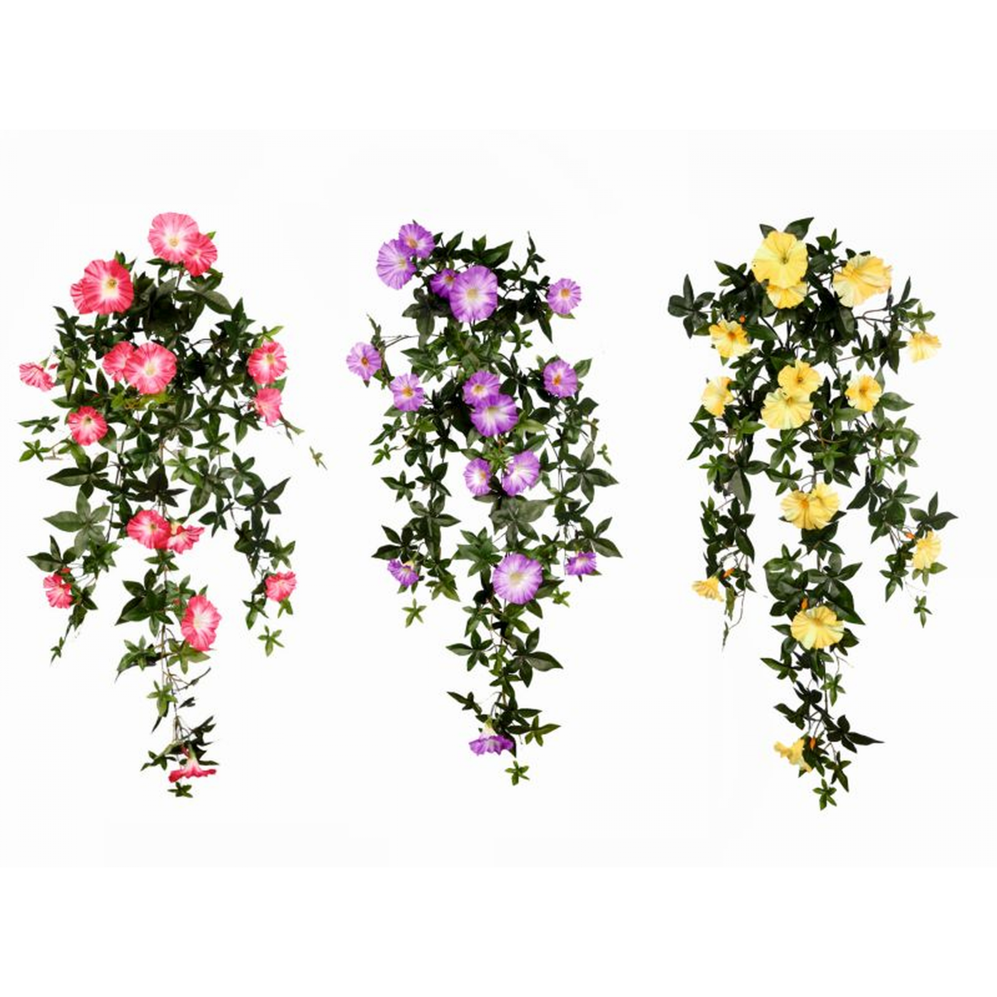 PLANTA 466 -80 cms.  IMPATIENS-