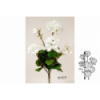 PLANTA 449 -45 cms. GERANIO-