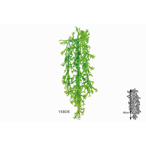 PLANTA 553 -60 cms. ALGA COLGANTE-
