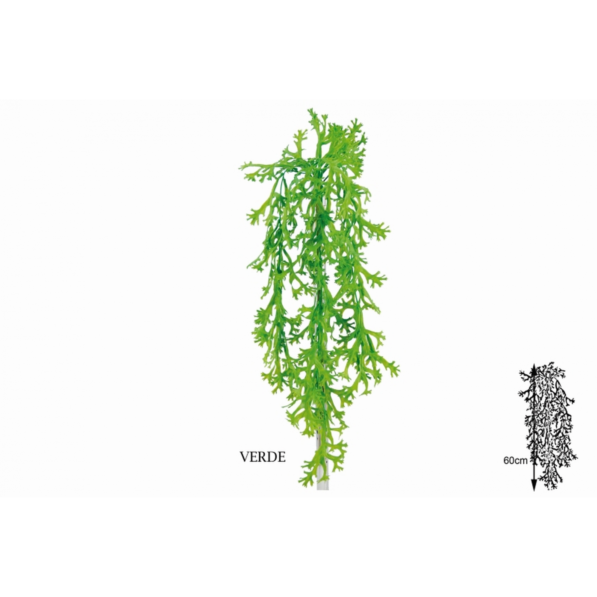 PLANTA 553 -60 cms. ALGA COLGANTE-