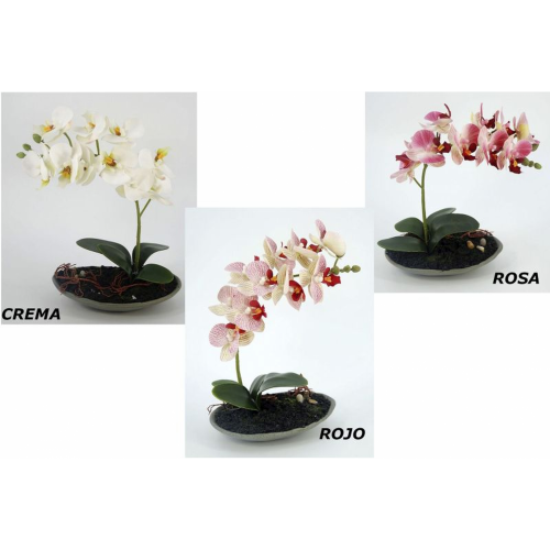 PLANTA 965 -26x18 ORQUIDEA-