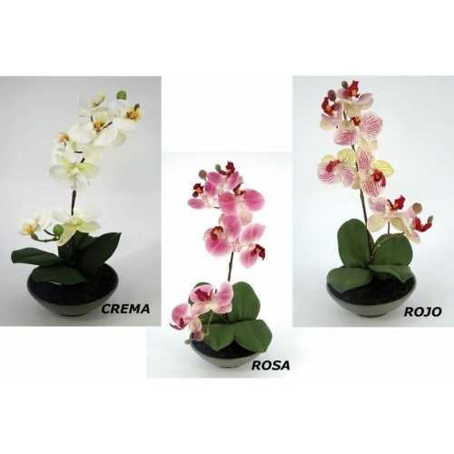 PLANTA 966 -35x14 ORQUIDEA-