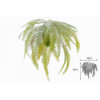 PLANTA 3121 -30x30 HELECHO BOLA MUSGO-