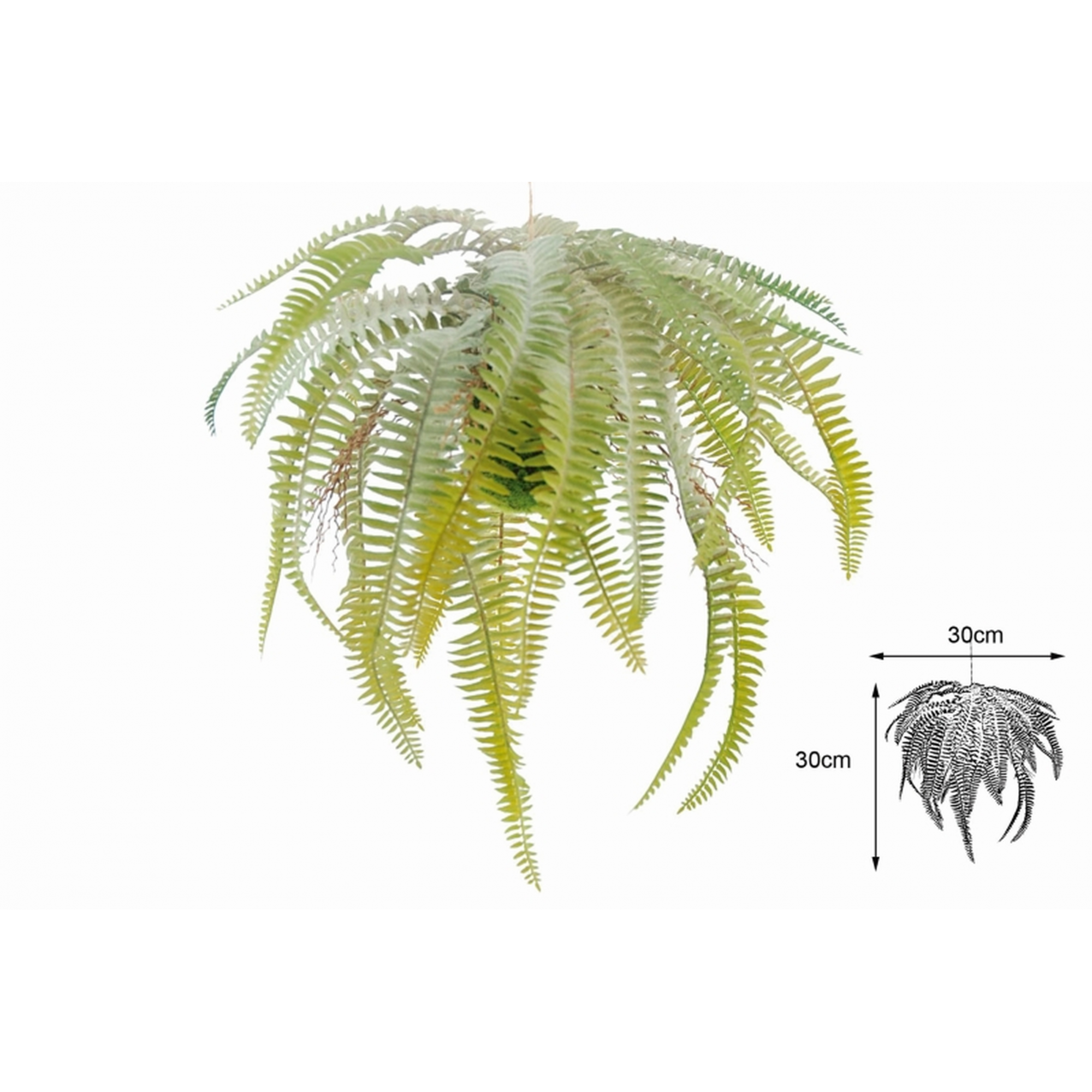 PLANTA 3121 -30x30 HELECHO BOLA MUSGO-