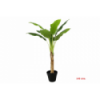 PLANTA 6531 -145 cms. PLATANERA x1-