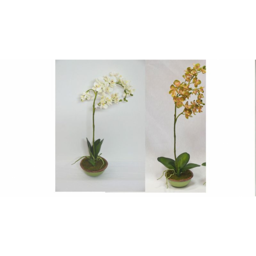 CENTRO 1786 -55x15 ORQUIDEA-