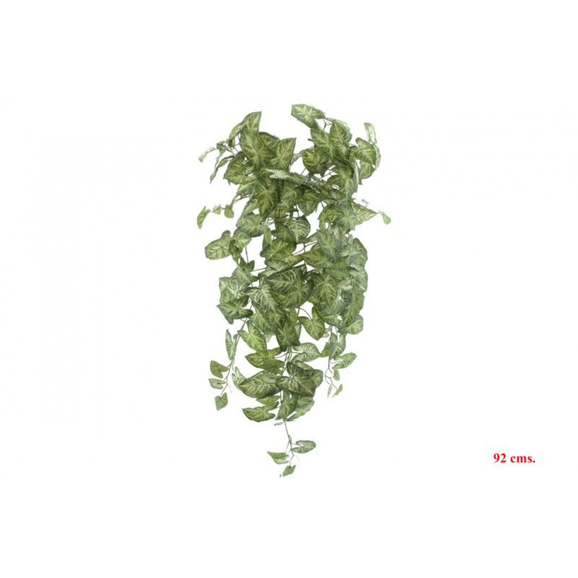 PLANTA 4028 -92 cms. SYNGONIUM-