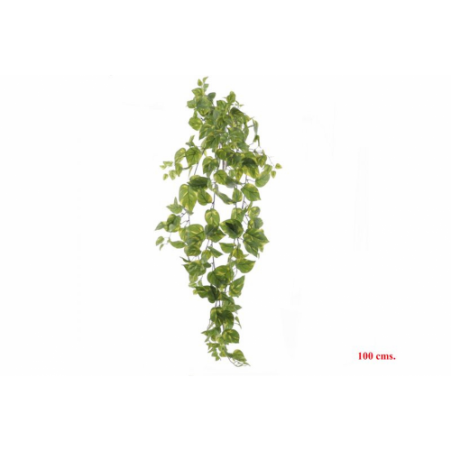 PLANTA 4140 -100 cms. POTHOS-