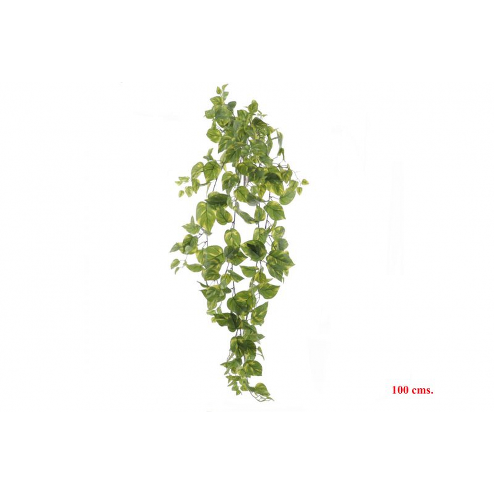 PLANTA 4140 -100 cms. POTHOS-