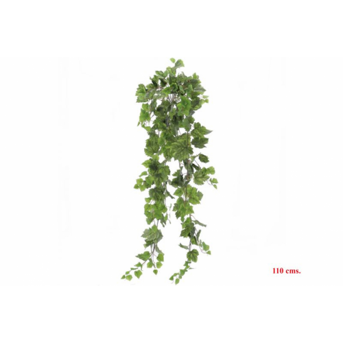 PLANTA 4142 -110 cms. PARRA-