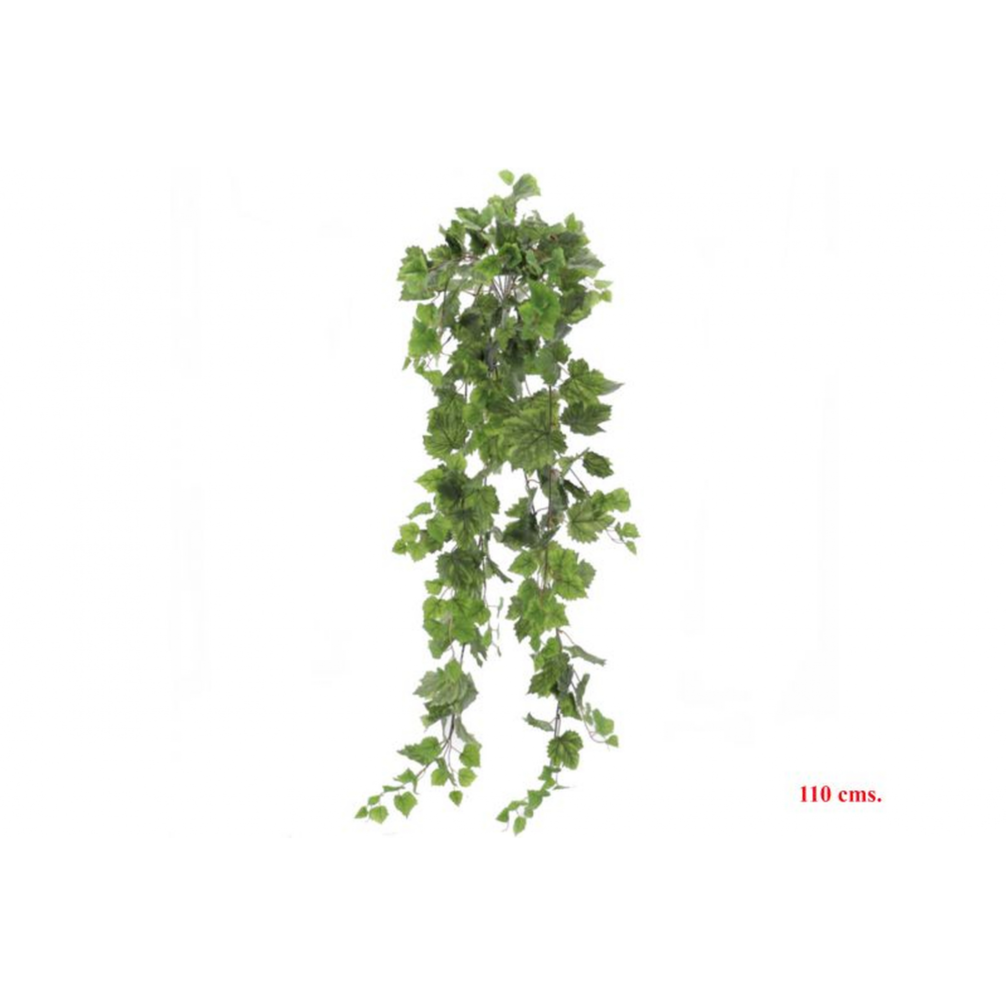 PLANTA 4142 -110 cms. PARRA-