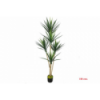 PLANTA 7131 -180 cms. YUCCA x5-