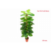 PLANTA 928 -120 cms. POTHOS TUTOR-