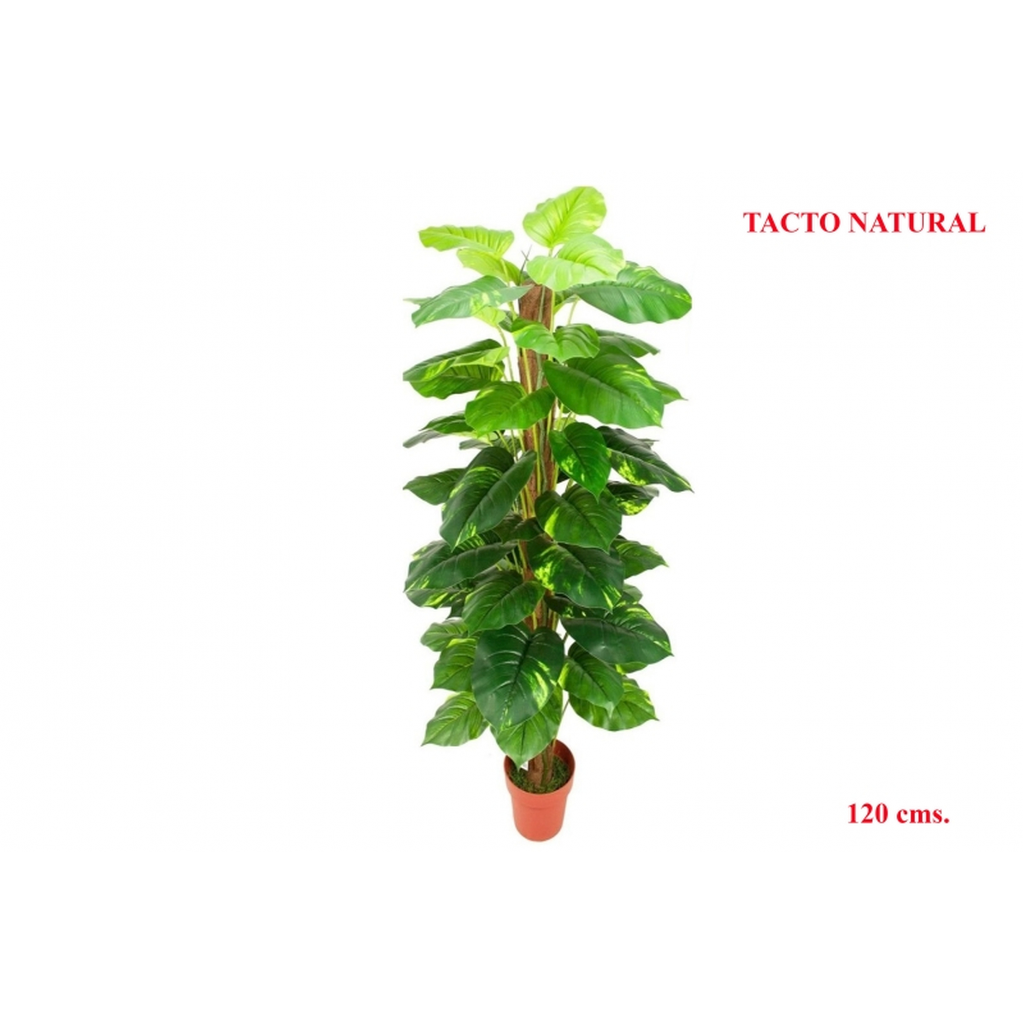 PLANTA 928 -120 cms. POTHOS TUTOR-