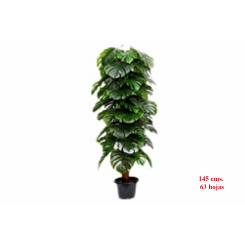 PLANTA 977 -145 cms. MONSTERA x63