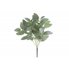 VERDE 8569 -EUCALIPTO x7-