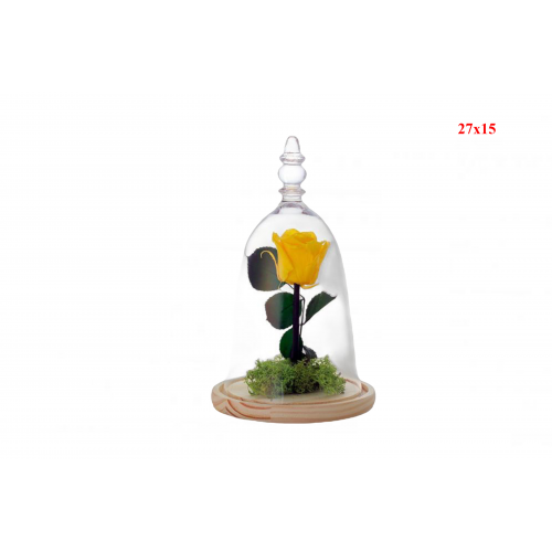 CUPULA 35R -27x15 CON ROSA PRESERVADA-