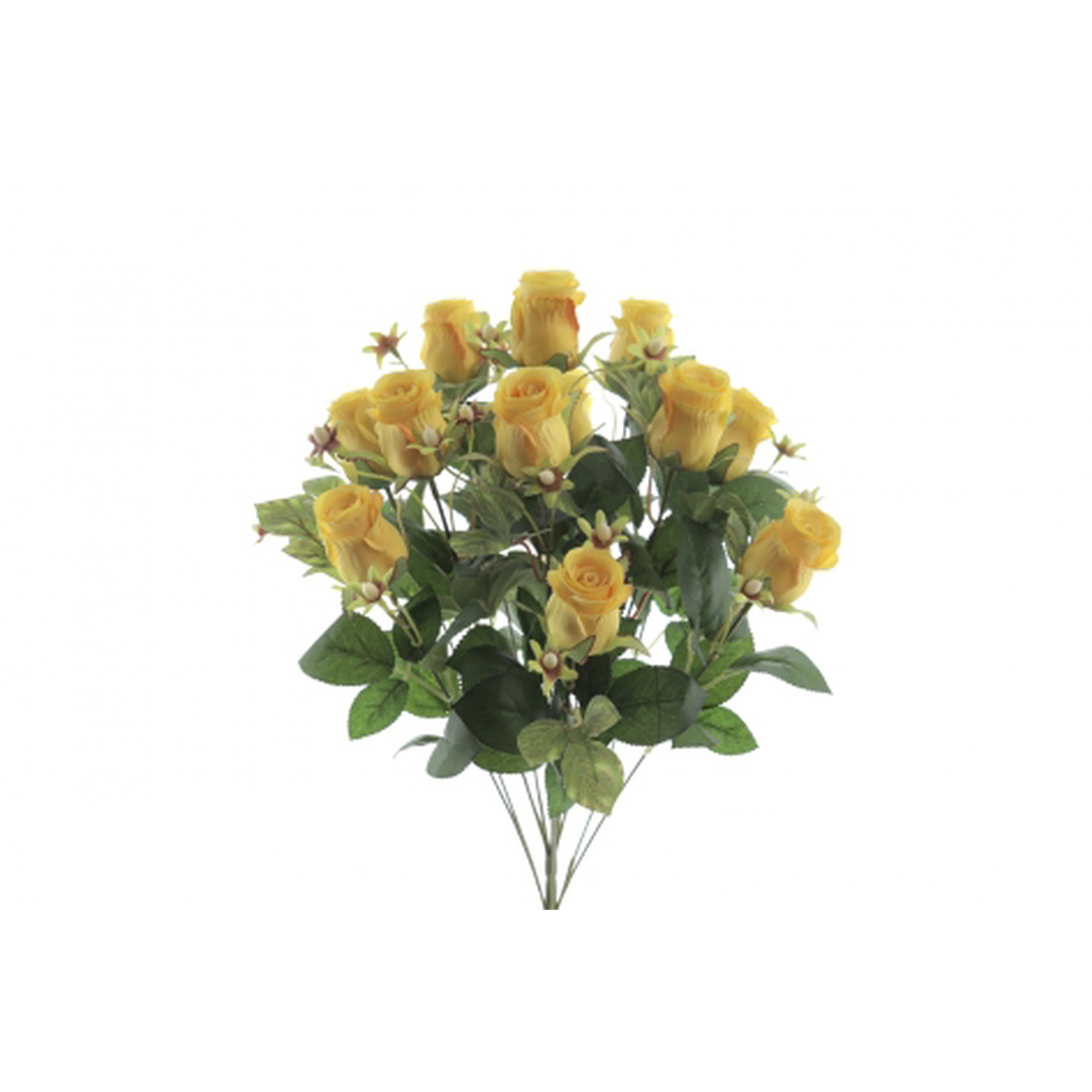 RAMO 5064 -50 cms. CAPULLO x12-