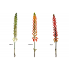 FLOR 546 -71 cms. SUCULENTA-