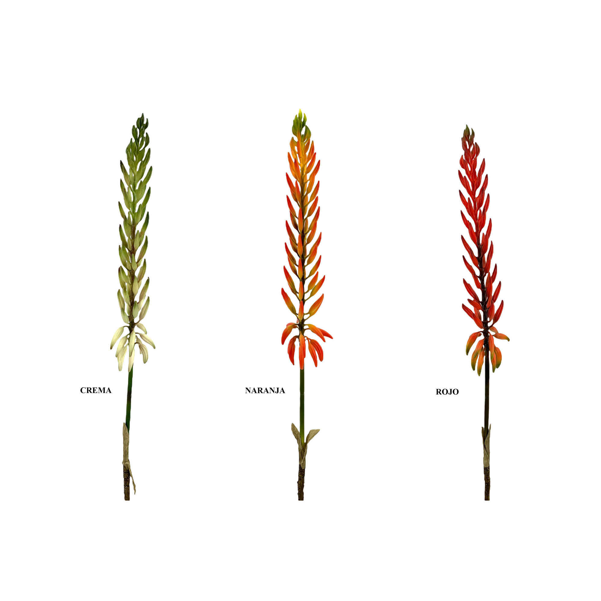FLOR 546 -71 cms. SUCULENTA-