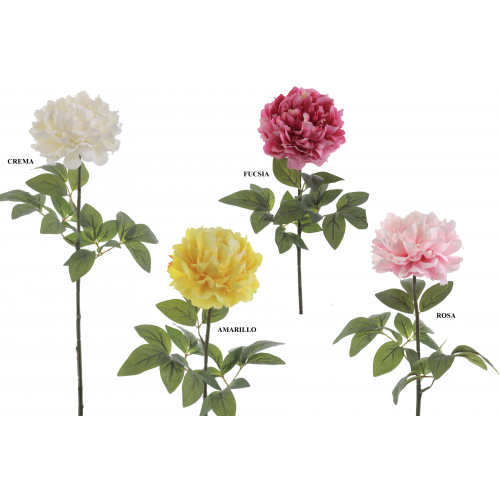 FLOR 4800 -74x17 PEONIA-