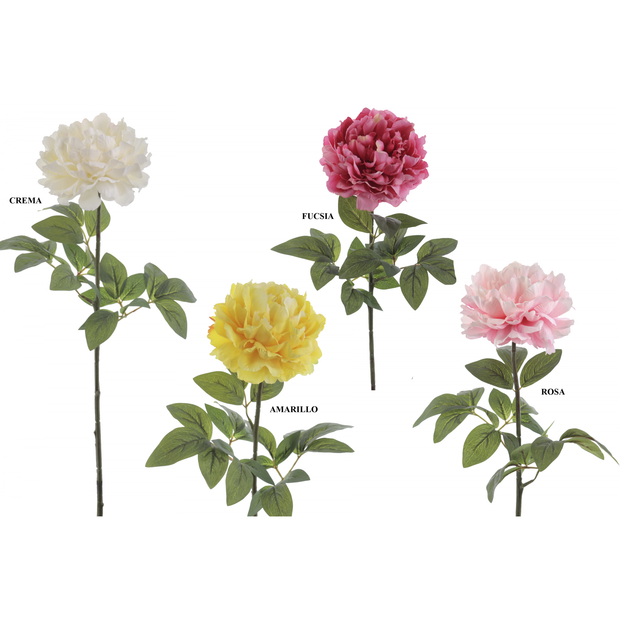 FLOR 4800 -74x17 PEONIA-