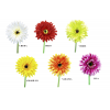 FLOR 166 -60x10 GERBERA-