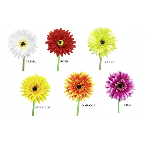FLOR 166 -60x10 GERBERA-