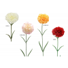 FLOR 601 -54x8 CLAVEL-