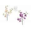 FLOR 342 -ORQUIDEA-