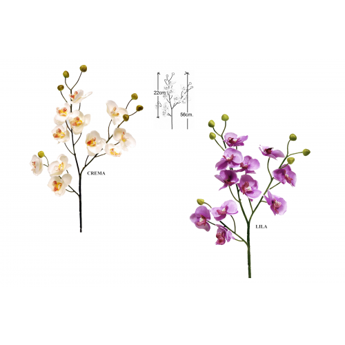 FLOR 342 -ORQUIDEA-