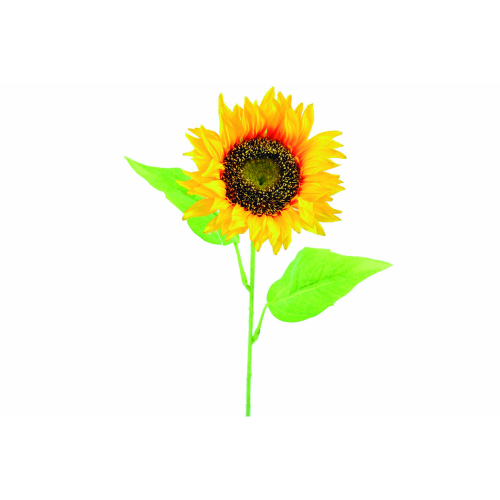FLOR 651 -68x15 GIRASOL-