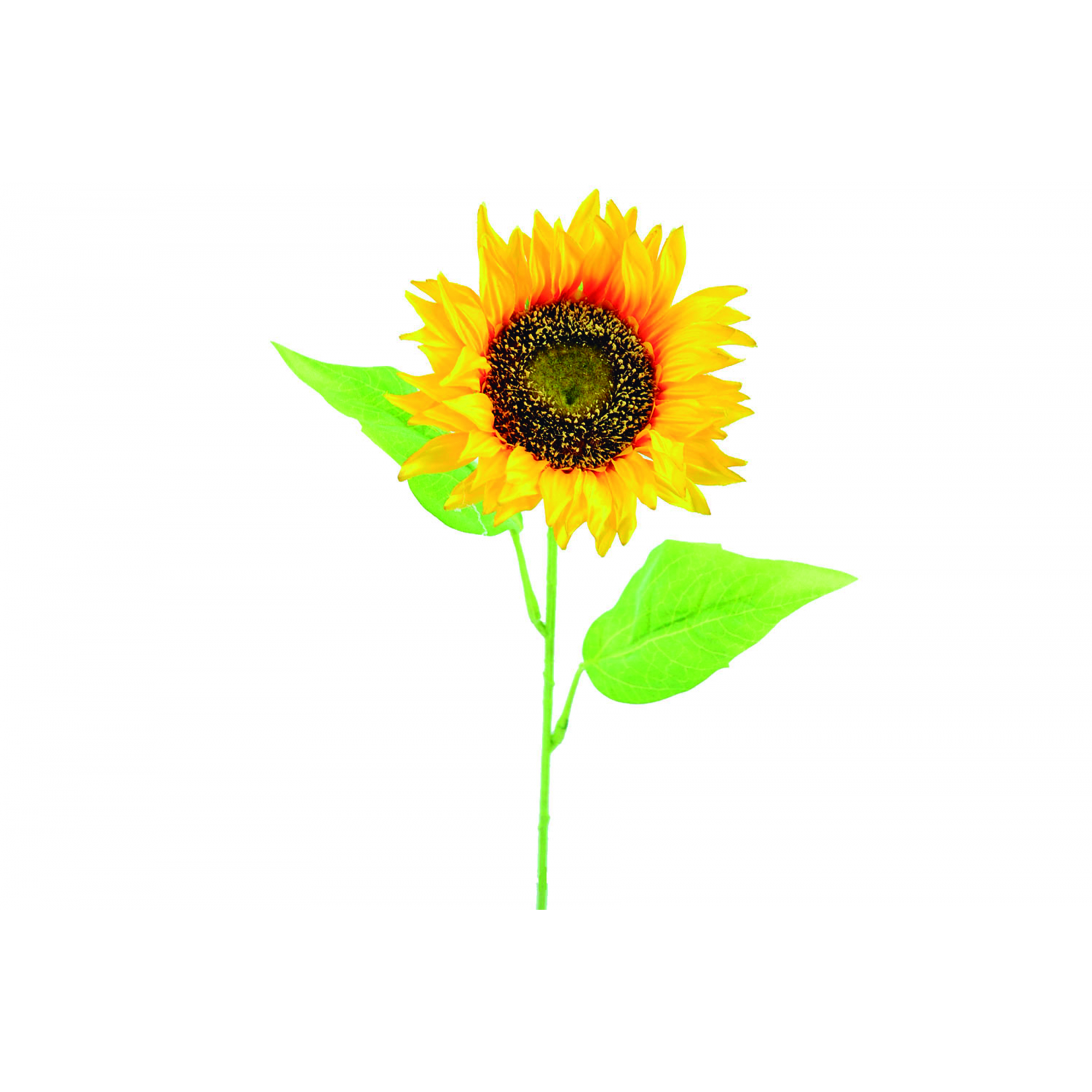FLOR 651 -68x15 GIRASOL-