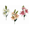 FLOR 770 -68x15 LILIUM x3 (TN)-