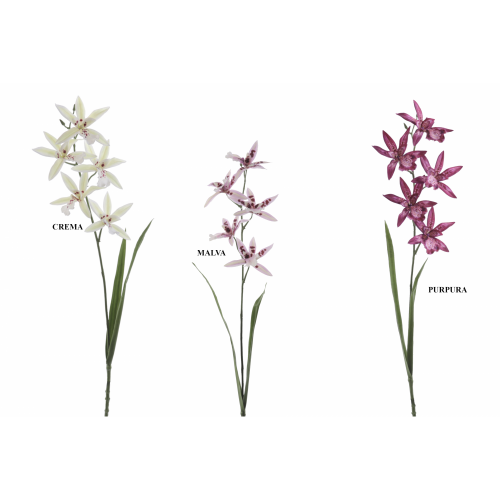 FLOR 1200 -70 cms. ORCHID CALANTHE x5-
