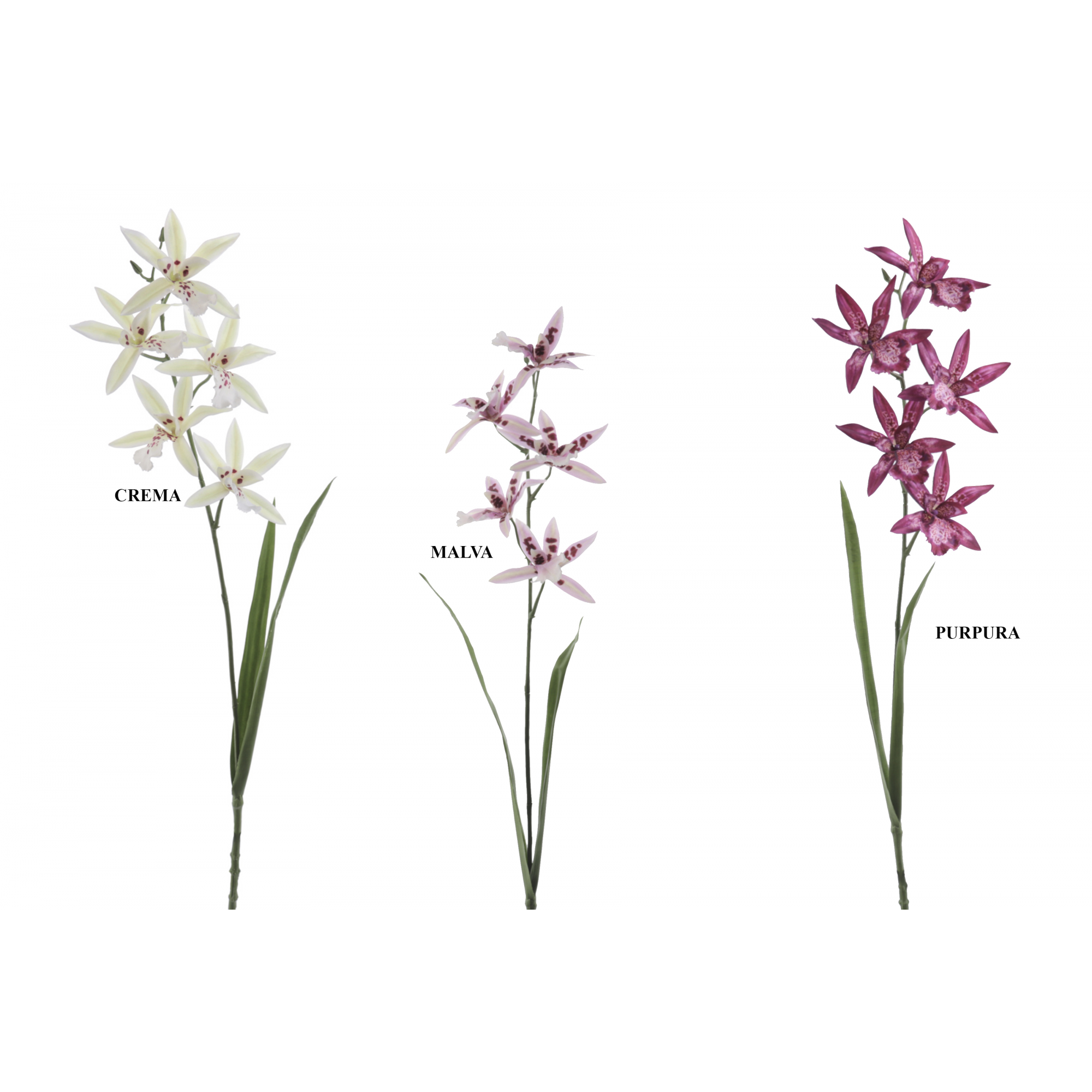 FLOR 1200 -70 cms. ORCHID CALANTHE x5-