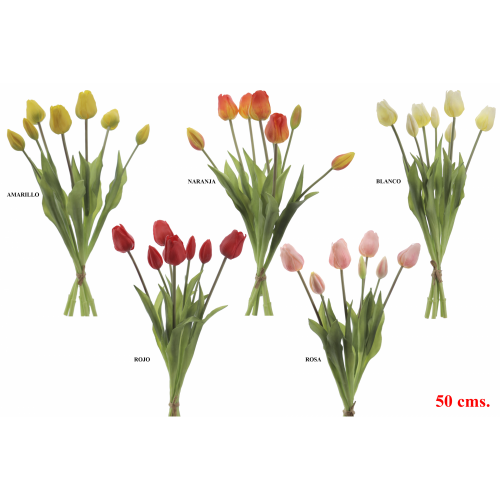 FLOR 2752 - 50 cms. ATADO TULIPANES x7-